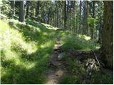 Lavamünd - Huhnerkogel/Košenjak